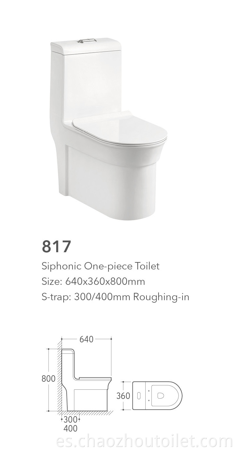 817 One Piece Toilet